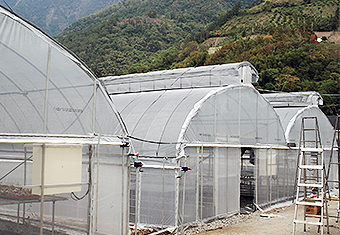 SG-01 圓拱型精密溫室