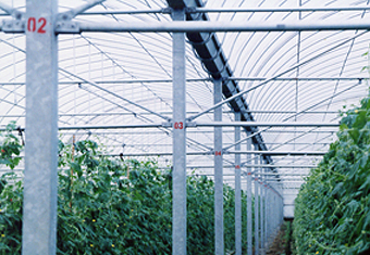 SG-02 圓拱型簡固溫室