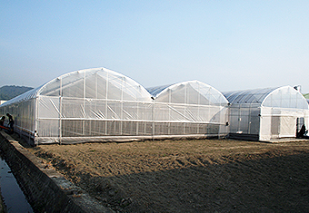 SG-02 圓拱型簡固溫室