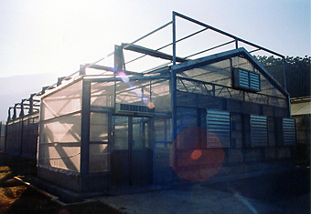 SG-03 小山型精密溫室