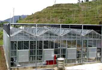 SG-03 小山型精密溫室