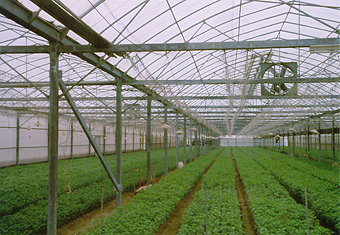 SG-05 加強型簡易溫室