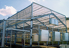 SP-02溫室降溫系統