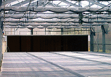 SP-02溫室降溫系統