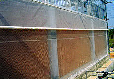 SP-02溫室降溫系統