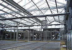 SP-07溫室通風設施