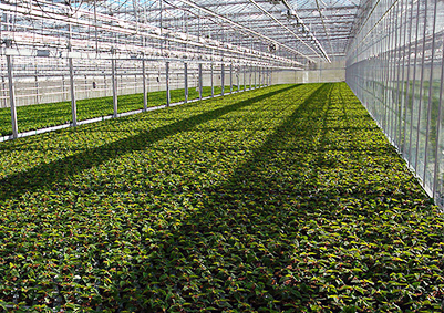 SP-10 植物燈補光系統