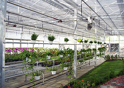 SP-10 植物燈補光系統