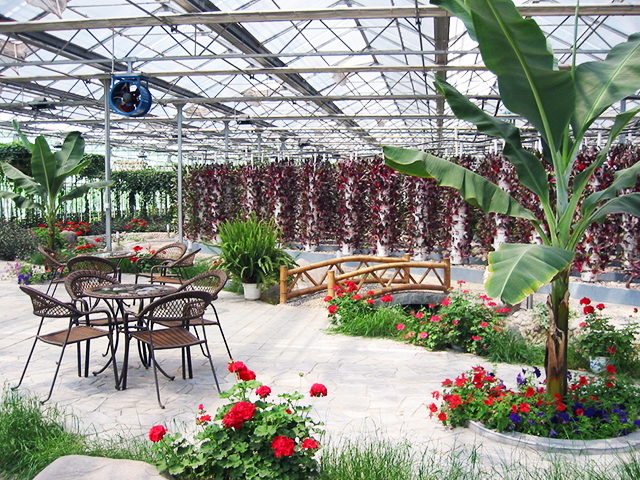 景觀園藝設計/工程